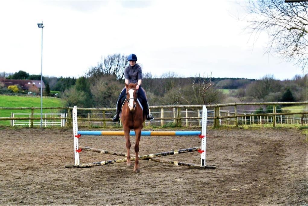 Appartement Hillfields Farm Barn - A Rural Equestrian Escape à Coventry Extérieur photo